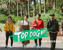吃瓜猎奇《TOP DOG》免费在线观看