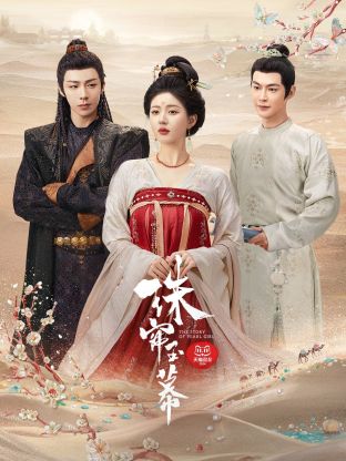 吃瓜爆料《珠帘玉幕》免费在线观看