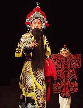 吃瓜直播《袁崇焕2009》免费在线观看