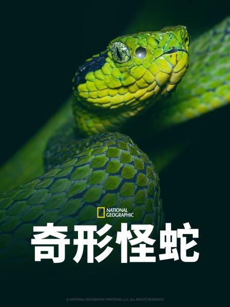 吃瓜直播《奇形怪蛇》免费在线观看